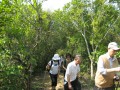 Thumbs/tn_IMG_0926.jpg