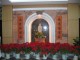 Thumbs/tn_IMG_006.jpg