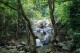Thumbs/tn_DSC_0042.jpg