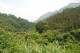 Thumbs/tn_DSC_0043.jpg
