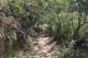 Thumbs/tn_IMG_0028.jpg